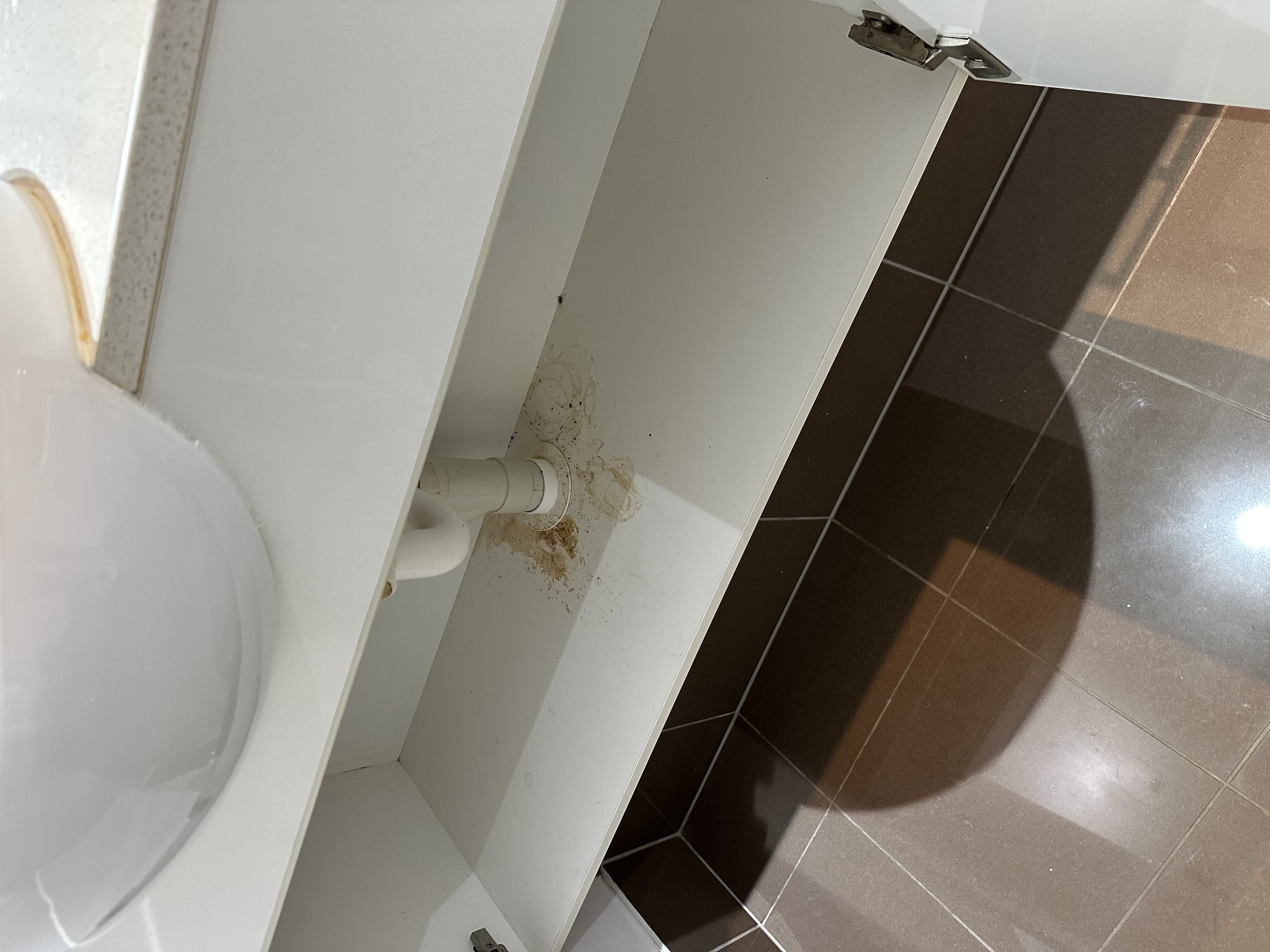 Bond Cleaning - Sink Cabinet before